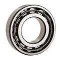 NTN NF324G1 Cylindrical Roller Bearing: 120mm ID, 260mm OD, 55mm Width