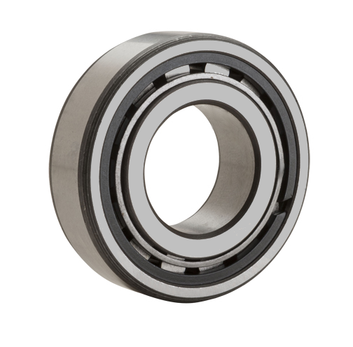 NTN MUB1305TDM Cylindrical Roller Bearing: